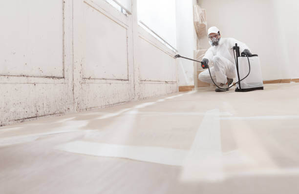 Disinfection Services in Dubai: 5 Steps to Sanitizing Your Home Disinfection Service provider